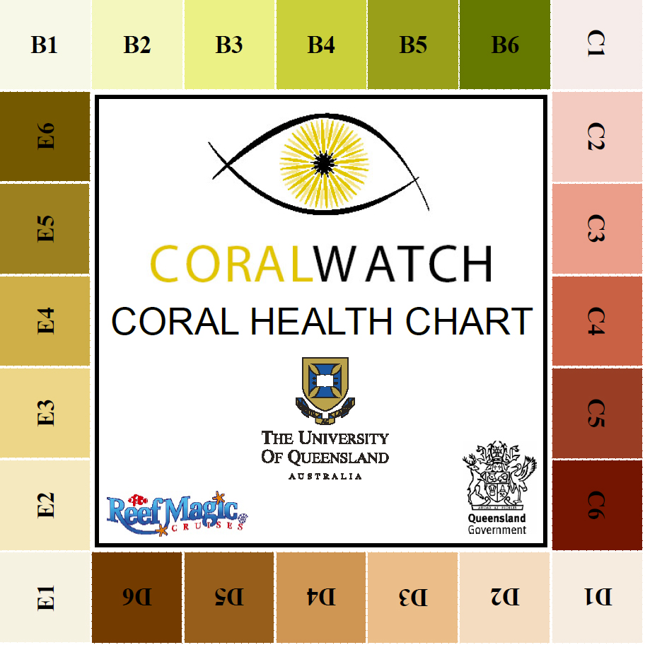 Coral Colour Chart