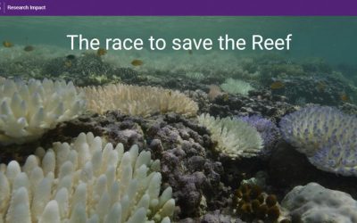 The Race to Save the Reef