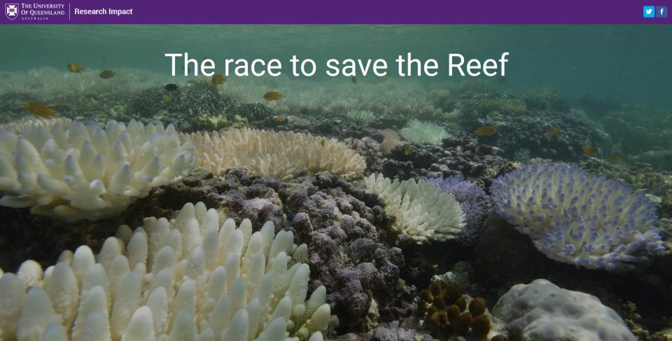 The Race to Save the Reef