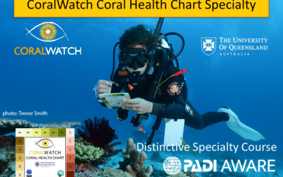 CoralWatch PADI Coral Health Chart Distinctive Specialty