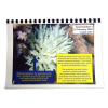 Ultimate Teaching package - Image 12