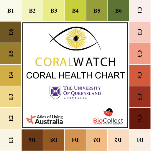 Coral Health Chart