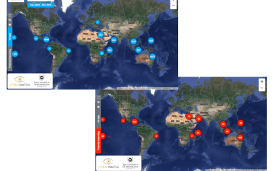 New CoralWatch Interactive Data Map