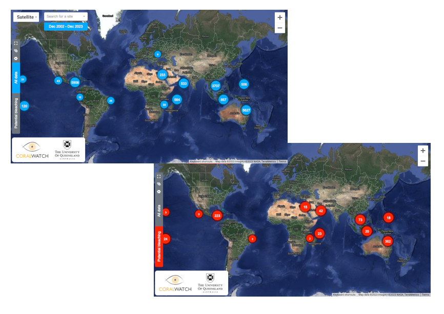 New CoralWatch Interactive Data Map